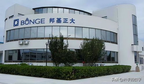 胖東來繞開國內油企，以自主采購保障食用油食品安全